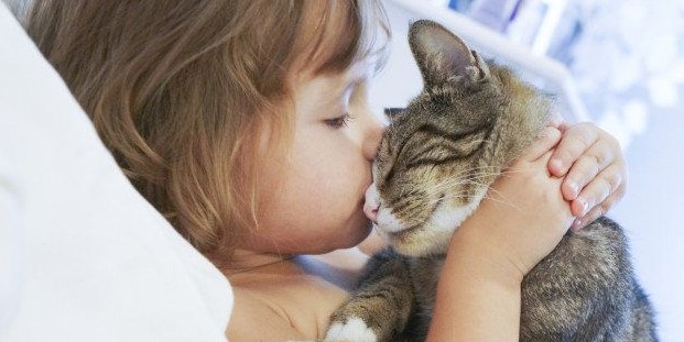 Teaching your cat to give kisses