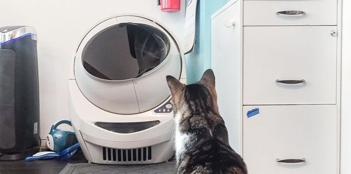 Choose The Best Automatic Cat Litter Box