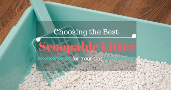 Choosing The Best Scoopable Litter