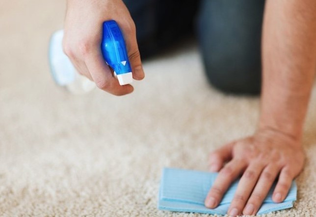 How to Clean Stain from Carpets
