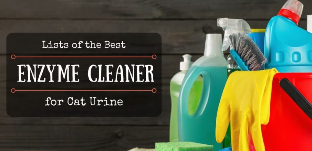 lists of best enzyme cleaner for cat