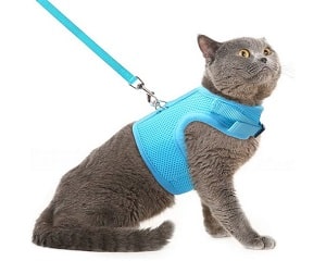 PUPTECK Escape Proof Cat Harness with Leash Adjustable Soft Mesh