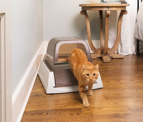 PetSafe ScoopFree Original Automatic Self-Cleaning Cat Litter Boxes